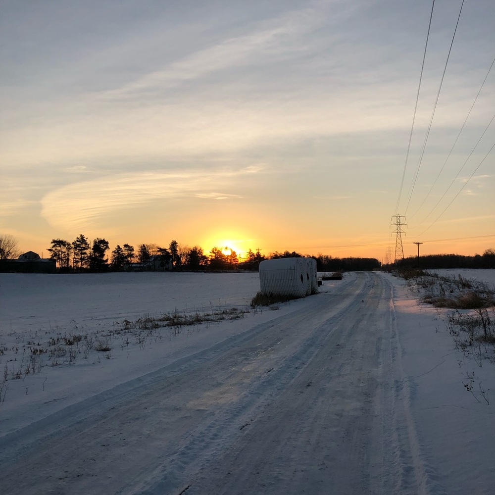 Meet your Posher, Dylan